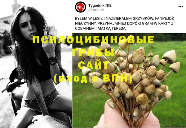 каннабис Абаза