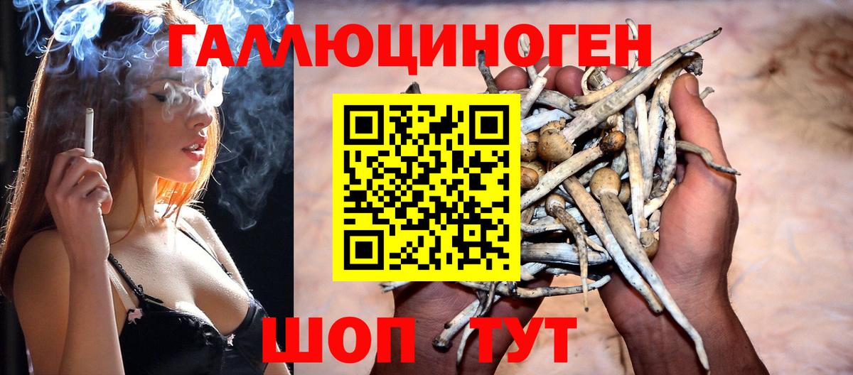 Дальнереченск  Галлюциногенные грибы Psilocybe  наркошоп  Вход с VPN 